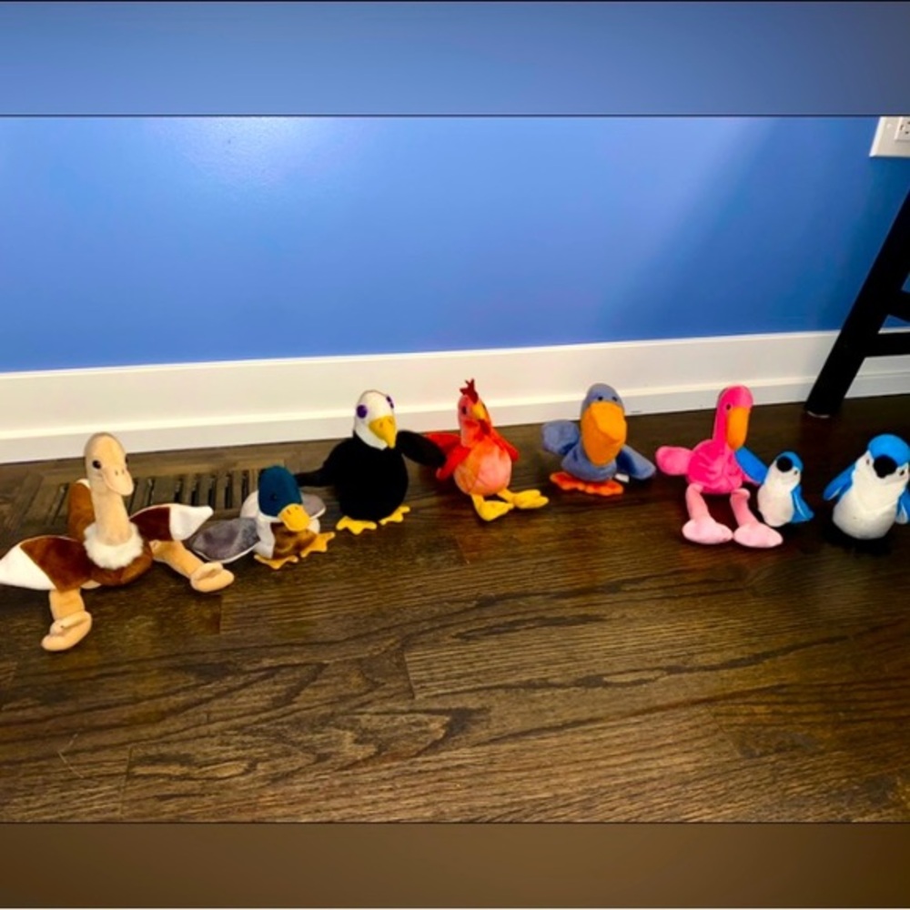 BEANIE BABIES | Bird Lot | plush stuffed animals toys